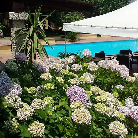 Le Mimose 3*