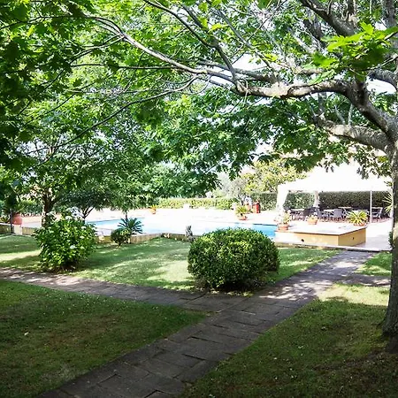 Le Mimose San Teodoro
