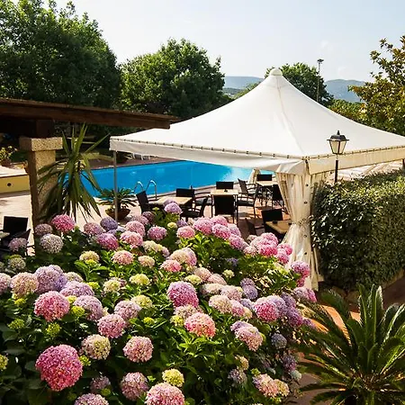 Le Mimose