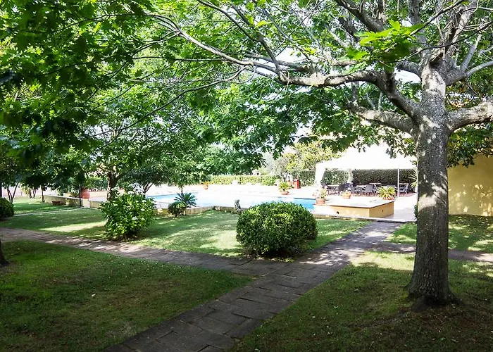 Le Mimose San Teodoro (Sardinia)