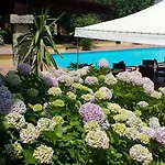 Le Mimose 3*