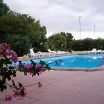 Le Mimose מלון 3*