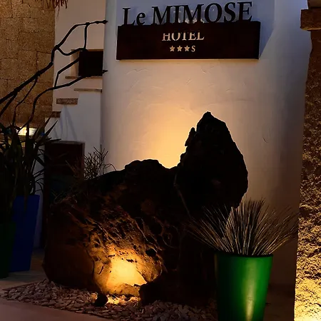 Hotel Le Mimose 3*