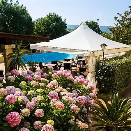Le Mimose